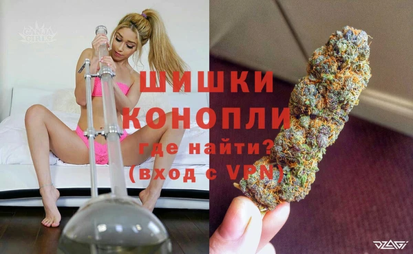 тгк Богданович