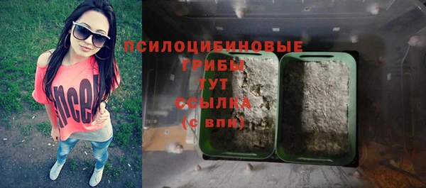 тгк Богданович