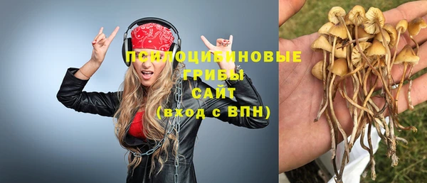 герыч Богородицк
