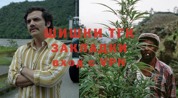 тгк Богданович