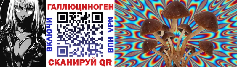 Псилоцибиновые грибы Psilocybine cubensis  Купить закладки  Конаково 